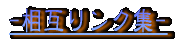 ���݃����N�W
